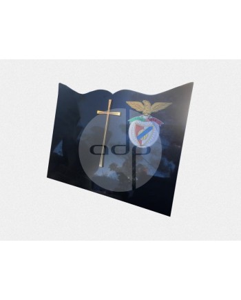 Placa com Pintura