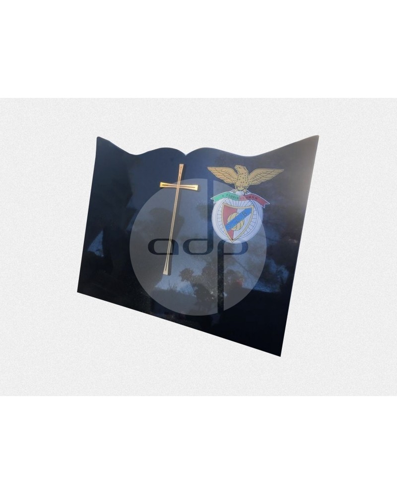 Placa com Pintura